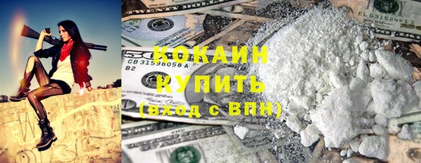 мдпв Верхний Тагил
