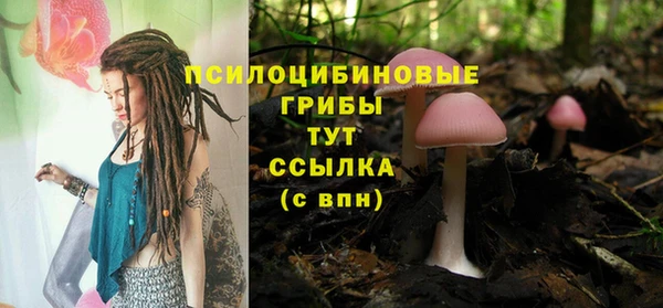мдпв Верхний Тагил
