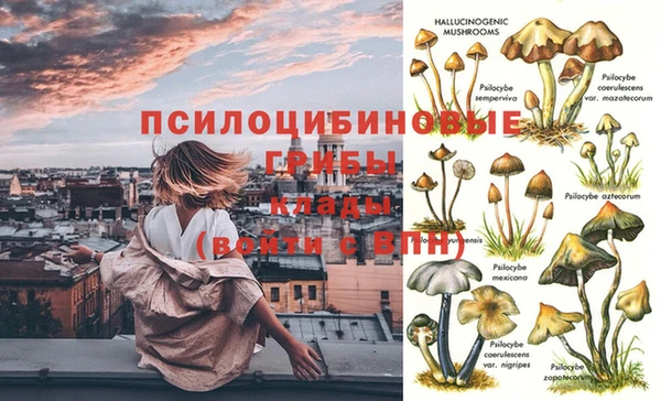 мдпв Верхний Тагил
