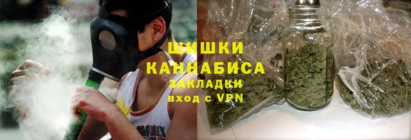 мдпв Верхний Тагил